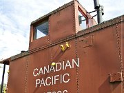 Canadian Pacific Railways, Last Spike 2013