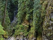 coquihalla_canyon_pp_18