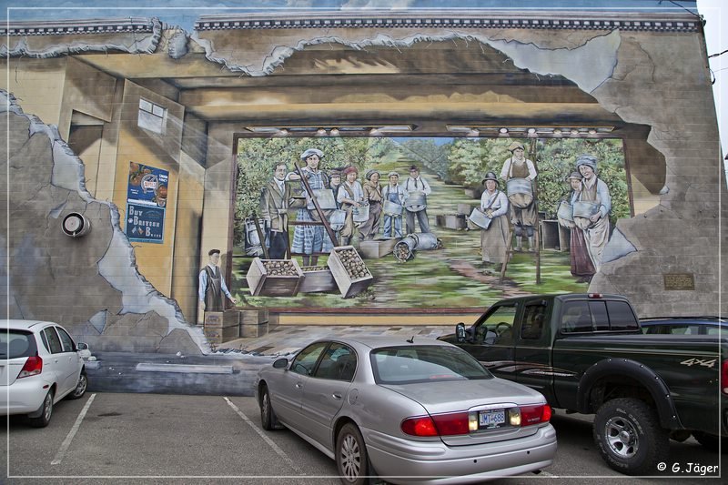 vernon_murals_02.jpg