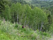 Wells Gray PP