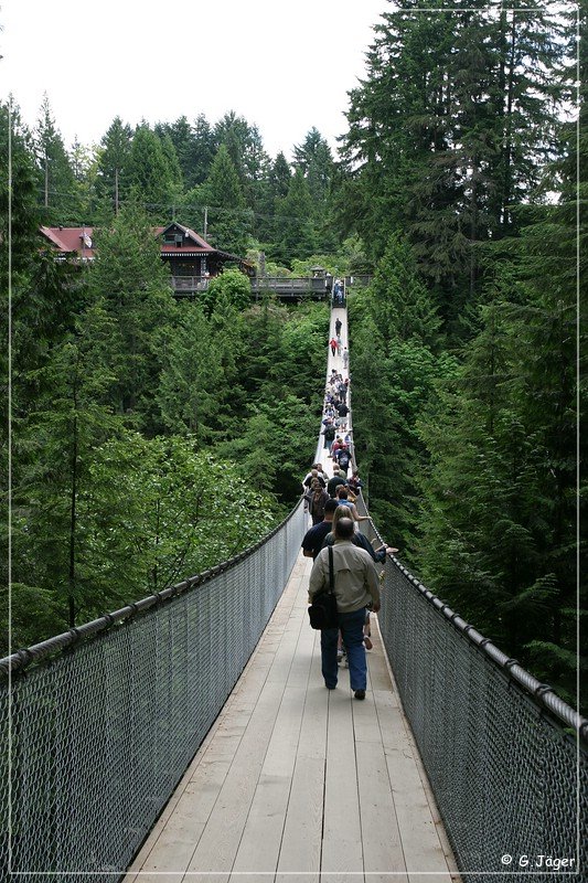 capilano_suspension_bridge_03.jpg