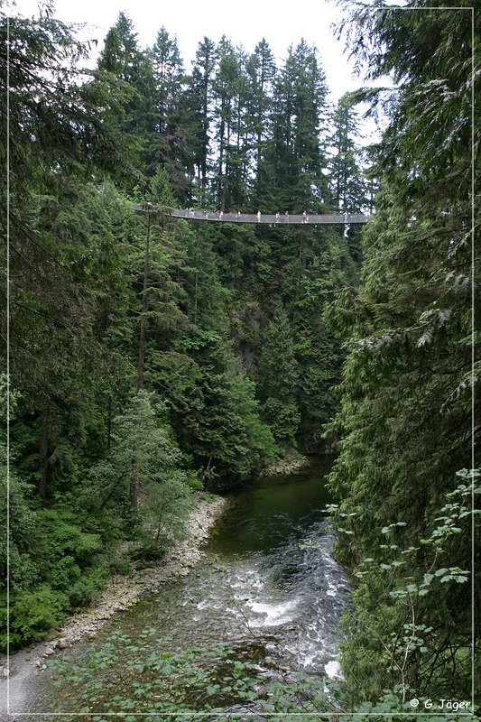 capilano_suspension_bridge_04.jpg