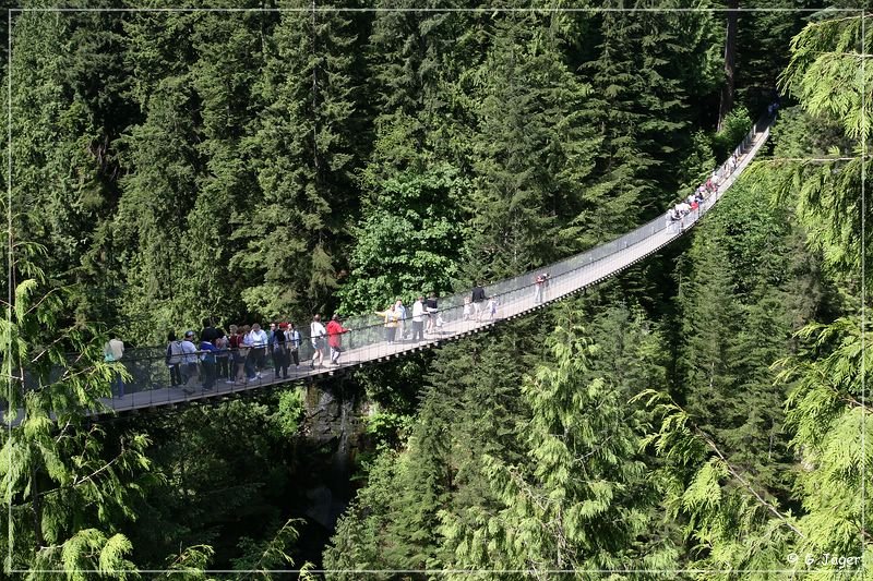 capilano_suspension_bridge_05.jpg