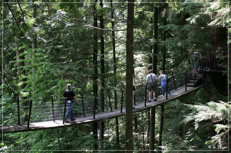 capilano_suspension_bridge_06.jpg