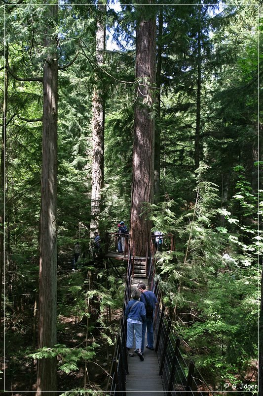 capilano_suspension_bridge_07.jpg