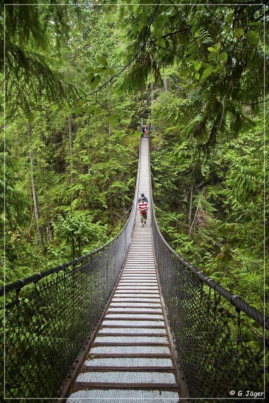 lynn_canyon_bridge_02.jpg