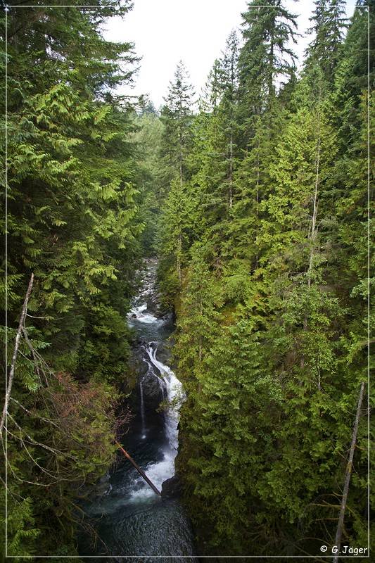 lynn_canyon_bridge_03.jpg