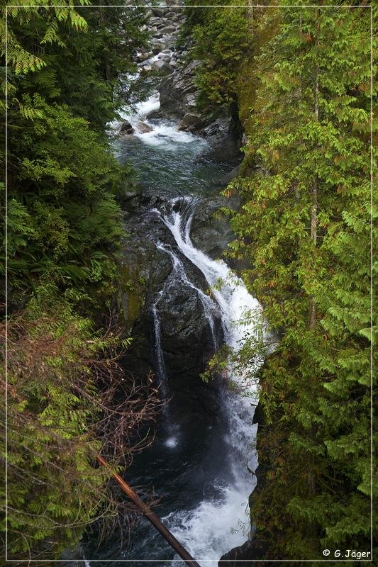 lynn_canyon_bridge_04.jpg