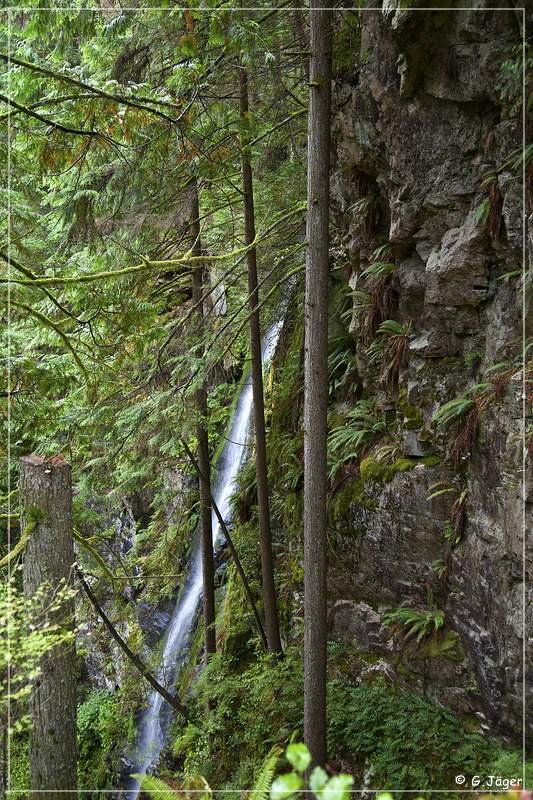 lynn_canyon_bridge_05.jpg