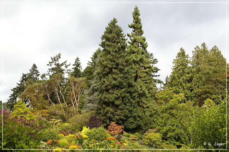 butchart_gardens_18.jpg