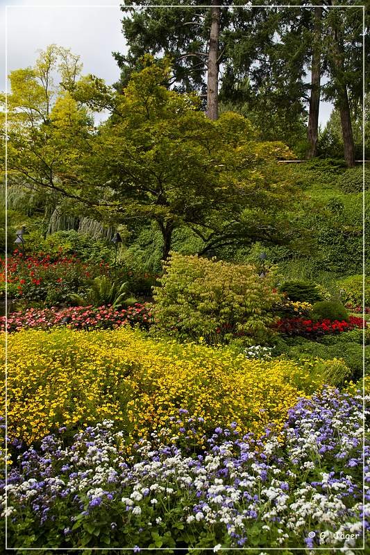 butchart_gardens_21.jpg