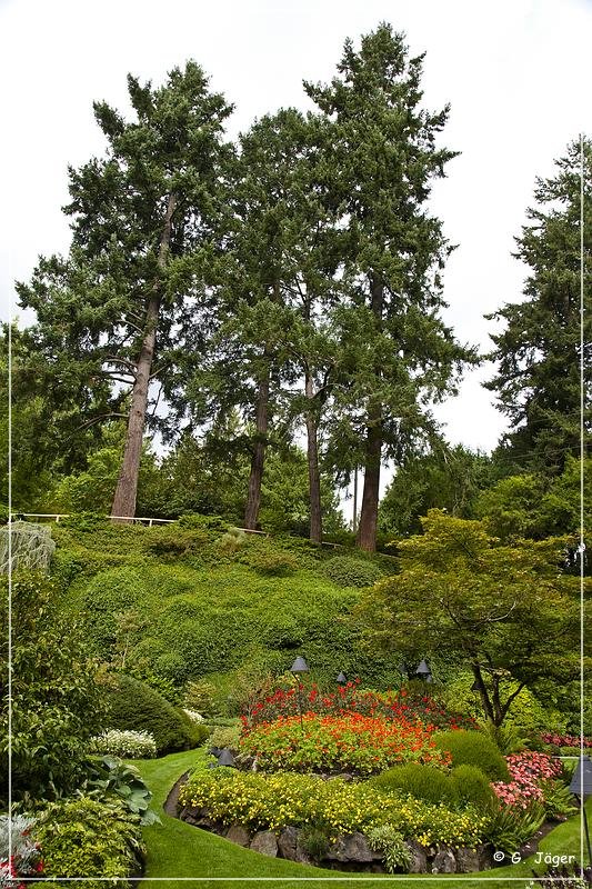 butchart_gardens_23.jpg