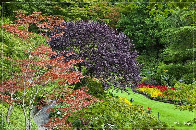 butchart_gardens_35.jpg