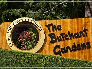 butchart_gardens_01