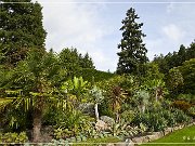 butchart_gardens_02