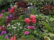 butchart_gardens_05