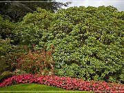 butchart_gardens_07