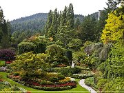 butchart_gardens_19