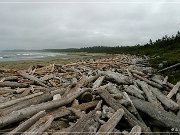 Pacific Rim NP, Wickaninnish Beach 2004
