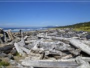 Pacific Rim NP, Wickaninnish Beach 2013