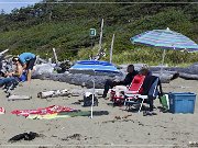 Pacific Rim NP, Wickaninnish Beach 2013