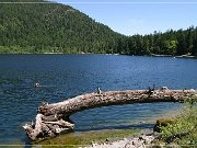 cameron_lake_02