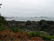 ucluelet_03