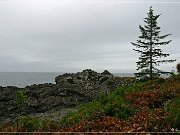 ucluelet_04