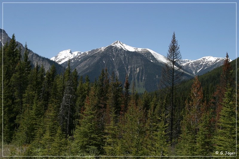 kootenay_np_04.jpg