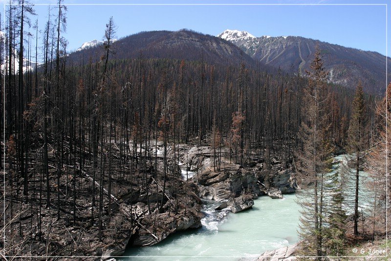 kootenay_np_05.jpg