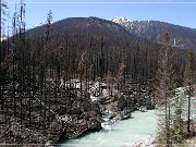 kootenay_np_05