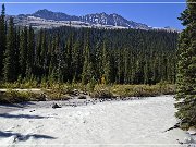 yoho_np_04