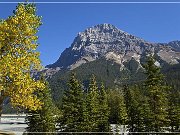Yoho NP