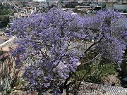 taxco_27