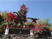 taxco_28