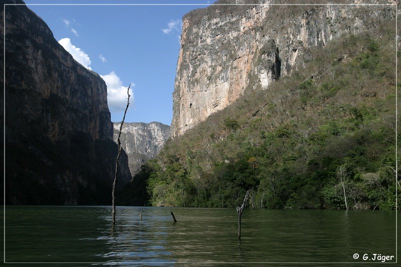 sumidero_14.jpg