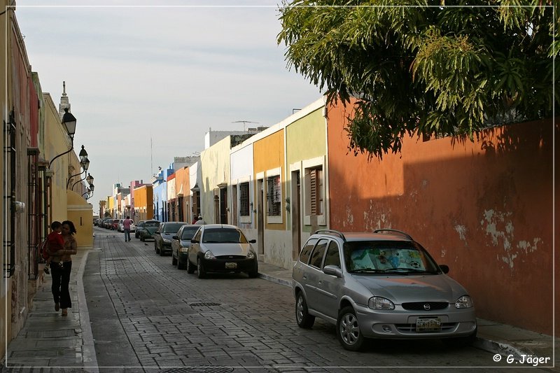 campeche_50.jpg