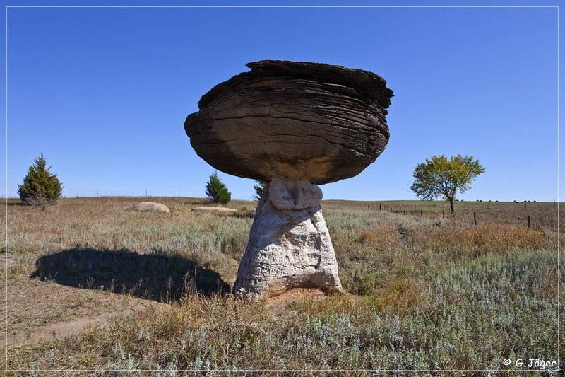 mushroom_rock_sp_10.jpg