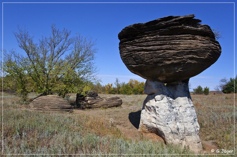 mushroom_rock_sp_11.jpg