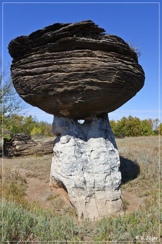 mushroom_rock_sp_12.jpg