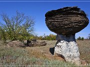 mushroom_rock_sp_11