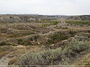 Theodore Roosevelt NP