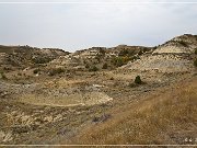 Theodore Roosevelt NP
