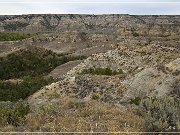 Theodore Roosevelt NP