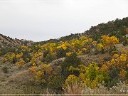 Theodore Roosevelt NP