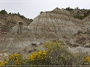 Theodore Roosevelt NP