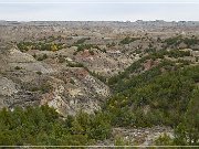 Theodore Roosevelt NP