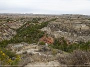 Theodore Roosevelt NP