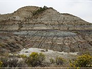 Theodore Roosevelt NP