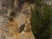 Theodore Roosevelt NP